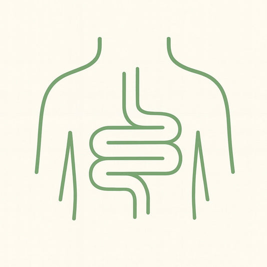 Immunförsvaret börjar i tarmen – Belly Boost & Detox Deluxe