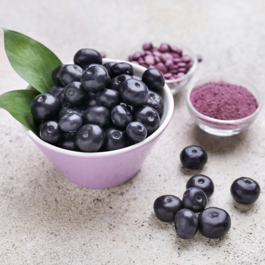 Acai acaibär acaipalm Superfood & Berries