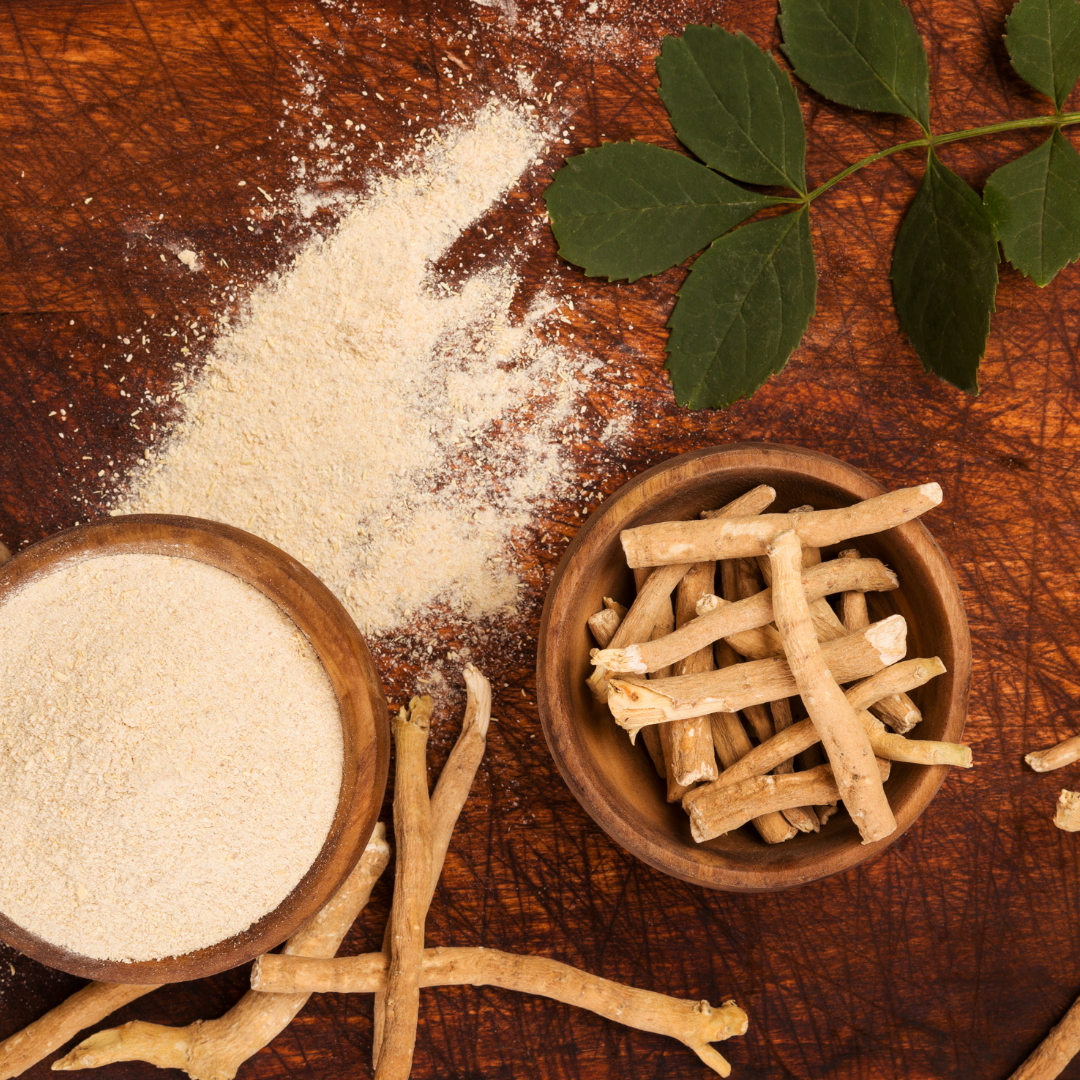 Ashwagandha – den intelligenta örten i din vardag