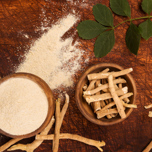 Ashwagandha – den intelligenta örten i din vardag